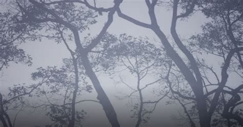 Clima rosario aerodrome datos climáticos: El clima en Rosario: un lunes que se abruma | Rosario3