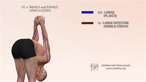 The large intestine (the colon) stores and excretes waste. Exercise for meridians of LUNGS and LARGE INTESTINE - Vaja ...