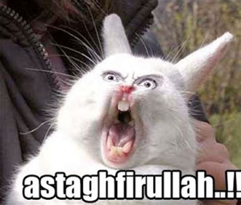 Posted by iwandahnial under funny, humor 9 comments. Sticker Wajah Lucu Ngeselin WAStickerApps untuk Android - Unduh