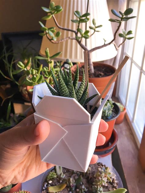What are some of the most reviewed products in plant pots? I got the cutest 3D printed planter!!! It even came with ...