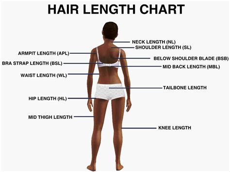 The armpit length of hair is just what we call medium long. Image result for medium length box braids | Hair length ...