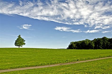 „gut verteilt über das jahr gibt es viele schöne feste, und die meisten denken weihnachten wär' das beste, und auch ostern ist im allgemeinen sehr beliebt. Schöne Pfingsten euch:) | fiftyfiftyblog