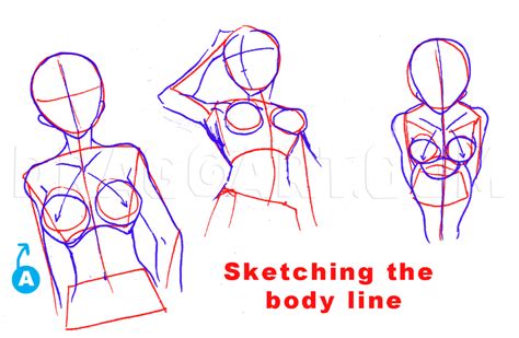 Drawing legs drawing anime bodies feet drawing human drawing body drawing drawing base figure drawing drawing reference manga drawing tutorials. How To Draw Breasts, Step by Step, Drawing Guide, by estheryu1981 | dragoart.com in 2021 ...