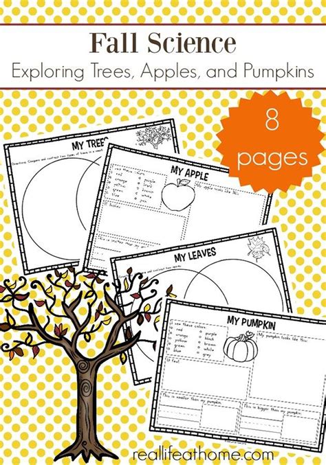fall science activities free fall science worksheets for