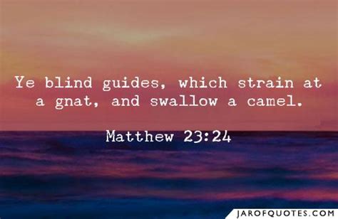 Amplified bible you spiritually blind guides, who strain out a gnat consuming yourselves with miniscule matters and swallow a camel ignoring and violating god's precepts! 100 Best Sayings About Guides, Guides Quotes - Jar of Quotes