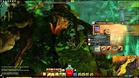 Show xeniph the hope of a brave new world. Guild Wars 2 HoT Le Druide - YouTube