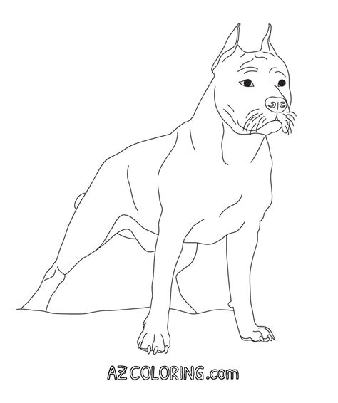 Staffordshire bull terrier coloring page. Coloring Pages Of Pitbulls - Coloring Home