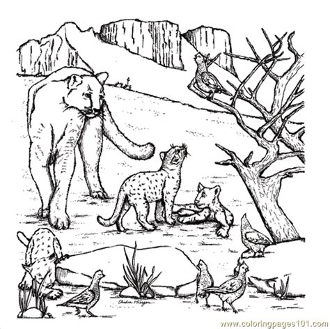 100% free coloring page of a mountain. Coloring Pages West Texas Mountain Lion (Natural World ...