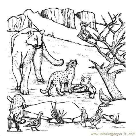 Maybe you would like to learn more about one of these? West Texas Mountain Lion Coloring Page - Free Mountain ...