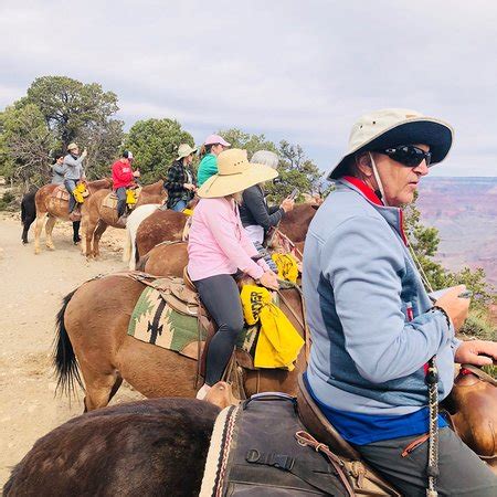 They took care of several reservation changes perfectly and informed us of some less expensive tour package deals. Grand Canyon Mule Tours by Xanterra (Grand Canyon National ...