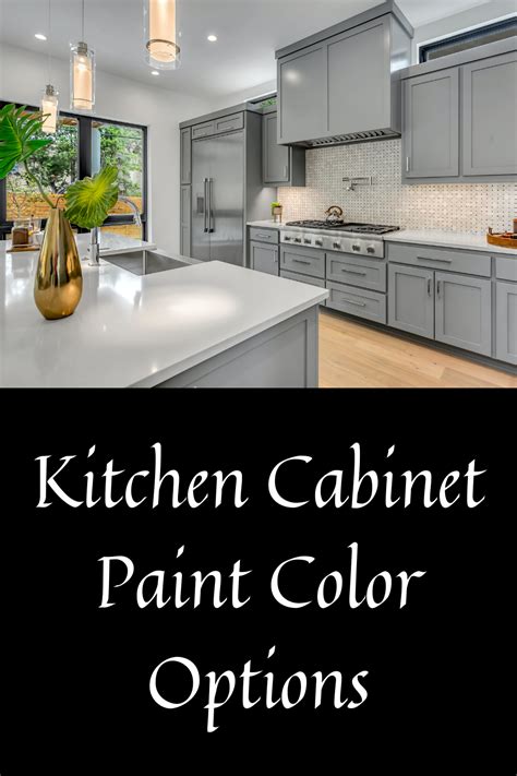Kitchen Cabinet Paint Color Options in 2020 | Painted kitchen cabinets colors, Painting kitchen ...