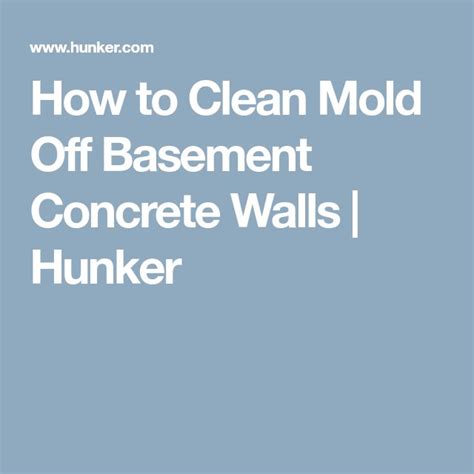 Check spelling or type a new query. How to Clean Mold Off Basement Concrete Walls | Hunker ...