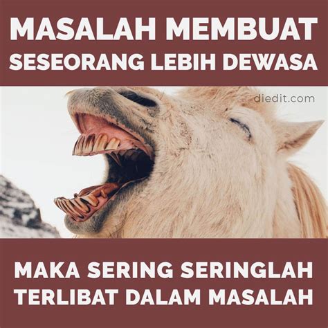 Isi didalam link mediafire yang. 1200+ Kata Kata Selamat Malam, Dilengkapi Pantun dan Gambar ~ diedit.com