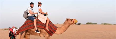 An evening desert safari deals include 4x4 drive, camel ride, tea, coffee, belly dance, henna painting. Evening Camel Safari Adventure in the desert of Dubai