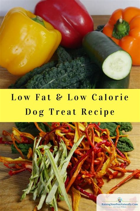 Sign up for our free newsletter: Low Fat and Low Calorie Dog Treats | Healthy Homemade Dog ...