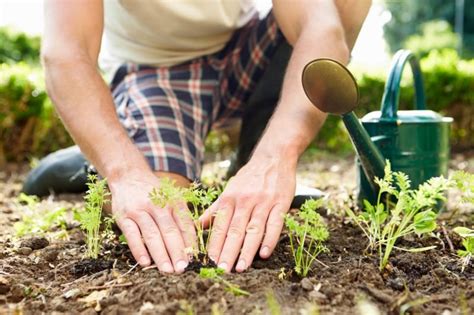 Tidak hanya lahan yang bisa bercocok tanam, dalam. Berkebun di Rumah Jadi Tren Selama Karantina Akibat Virus ...