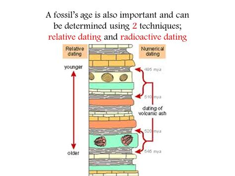 They have two ways to do this. Fossil record radiometric dating - Tinygirl Nude