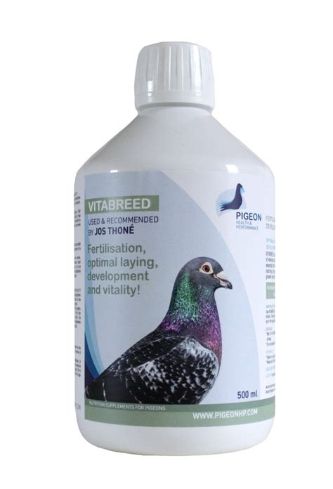 What are the best vitamins for racing pigeons? Pigeon Health & Performance