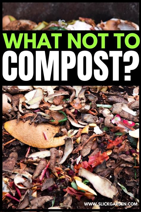 Seems like a much easier way to deal with. What Not To Compost? | Slick Garden in 2020 | Compost ...