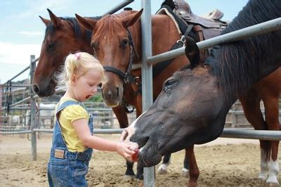 Read on for locations around the county for horseback riding with the family. Baby and Me Classes Starting this Fall!﻿ - Pony Land San ...