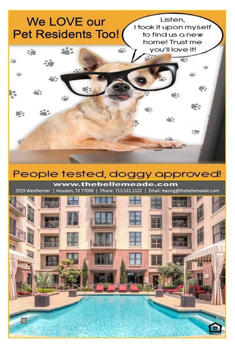 Décrochez le job de vos rêves à derby ! WE LOVE OUR PET RESIDENTS TOO | Pets, Doggy, Resident