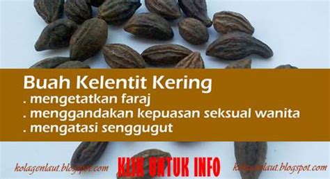 Daun kelor cukup aman ketika diminum dan digunakan dengan tepat. Shahkb Online: Whatsapp 017 930 6329: Khasiat Halba ...