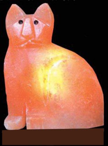 Himalayan salt lamps are some studies on animals show that exposure to increased level of negative ions may improve. Are Himalayan Salt Lamps Harmful To Pets - Is Himalayan ...