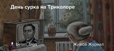 Онлайн вещание доступно из любой точки мира и на любых девайсах: День сурка на Триколоре: belan_olga — LiveJournal