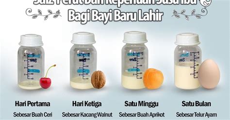 Secara umumnya, cara hentikan susu badan ini perlu dilhat dari sebab dan musababnya. 5 CARA KELUARKAN SUSU BADAN YANG SEDIKIT SELEPAS BERSALIN