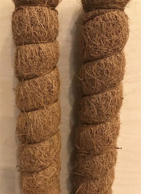 Plant supports ring for potted plants indoor outdoor 6 pack plant support stakes half round plant cage holder flower pot climbing trellis for small plant flower vegetable garden. Coco Fiber Plant Climbing Pole Handmade 1 2' 3' | Etsy | Plant supports, Indoor climbing plants ...