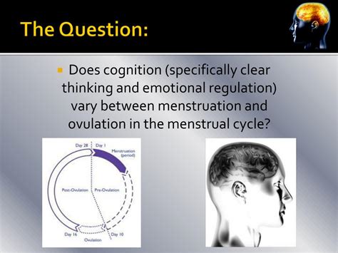 PPT - Menstruation and Ovulation: The Effect on Clear ...