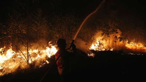 • incêndio na cidade de cantanhede, coimbra. El fuego da un alivio en Portugal, pero tres grandes ...