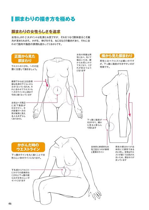 Male heads are normally longer with narrower eyes, strong jaws an a. Houtengeki's Drawing Tutorial | Female anatomy reference ...