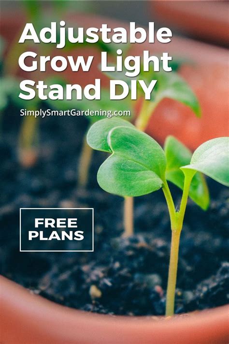 Not only are the lights much brighter than regular fluorescent tubes, they also easily adjust up and down so you can keep them just the right height. What You Need to Grow Strong, Healthy Seedlings (Grow ...