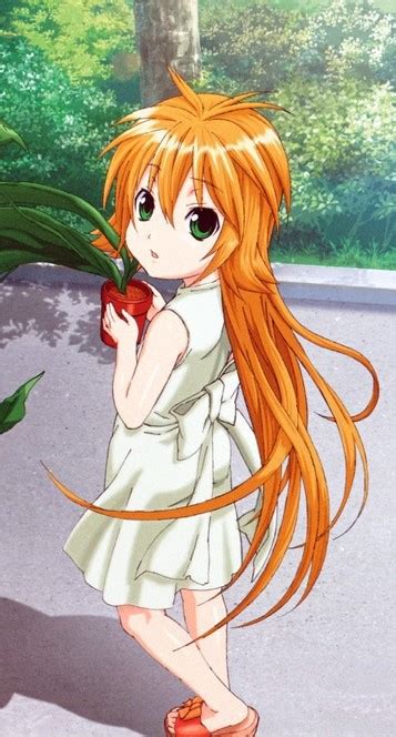 Know what this song is about? Kusano | Sekirei - The Wings of Love Wiki | Fandom