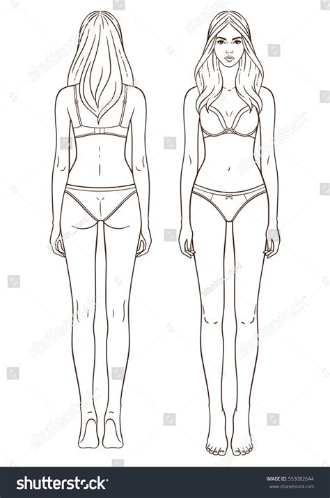 Female body shape or female figure is the cumulative product of a woman's skeletal structure and the quantity and distribution of muscle and fat on the body. Vector Illustration Womans Body Isolated Outline Stock ...