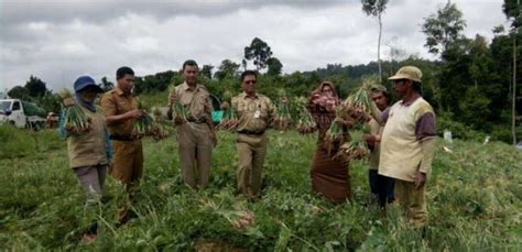 Tribun kaltara menyajikan berita dan video terkini tanjung selor, kalimantan utara. Holtikultura Kaltara : Nilai Tukar Petani Naik 0 82 Persen Dinas Komunikasi Dan Informatika ...