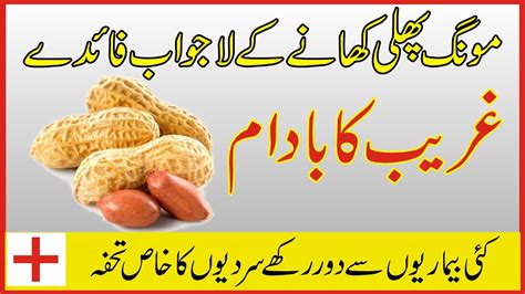 Laung khane ke fayde or labh 1.लौंग को पानी के साथ पीसकर, shahad मिलाकर चाटने से खसरे के रोग में बहुत लाभ होता है । 2. Mungfali khane ke fayde in Urdu/Hindi Health Benefits of ...