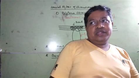 Any animal that reproduces sexually (with a mother and father) gets one chromosome is a pair from the mother. Cell-chromosome - YouTube