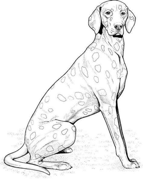 The pup with a large face puppy. Realistic Dog Coloring Pages | Dog coloring page, Dog ...