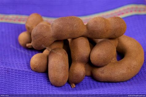 The tamarind (alternative name indian date, translation of arabic تمر هندي tamr hindī) is a tropical tree. Tamarind Sauce Recipe | RecipeLand.com