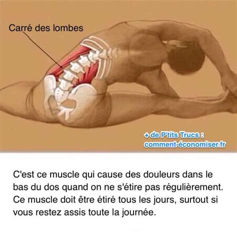 Comment ne plus avoir mal en bas du dos ? Mal en Bas du Dos ? Voici Comment Arrêter la Douleur Quand ...