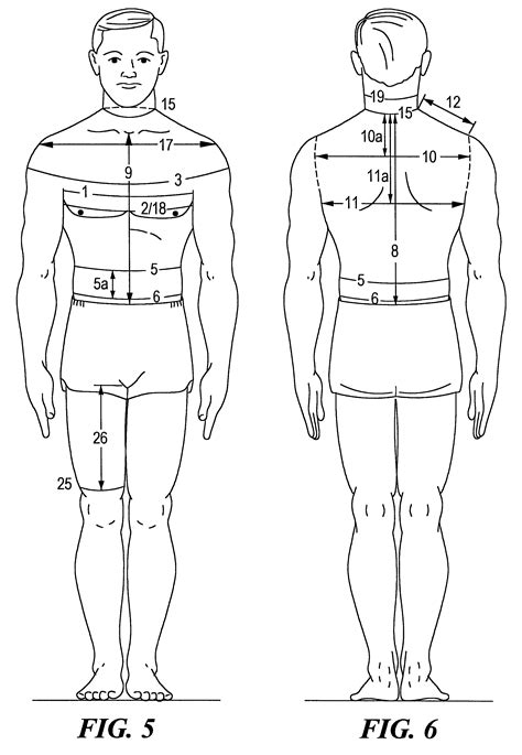 532 x 853 jpeg 292 кб. Patent US6438853 - Set of human torso manikins for use in ...