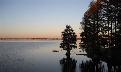 There are 20 cabins available along the lakeshore area. Santee Cooper Cabins - HOME DECOR