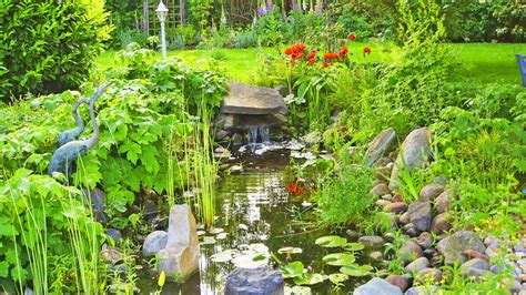 Frühling, garten, zwiebelblumen, tulpen, blauregen, narzissen. Den Gartenteich im Frühling reinigen | NDR.de - Ratgeber ...