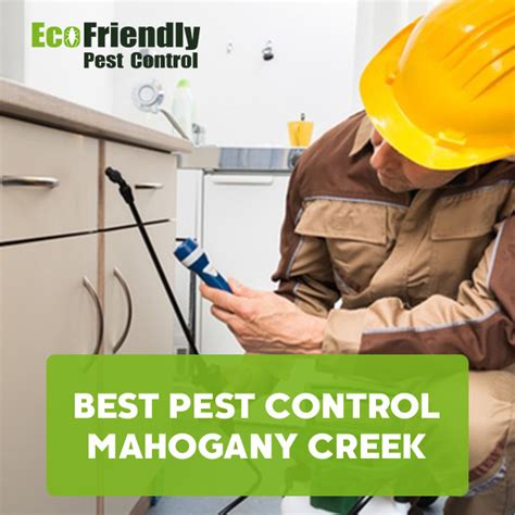 Booking the appointment is easy and there is never. Pest Control Mahogany Creek