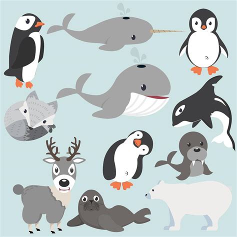 Have you ever seen a penguin come to tea? Artic animals cartoon collection - Download Free Vectors ...