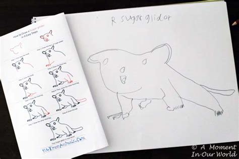 In this tutorial, we will draw sugar glider. Review: We Draw Animals - Simple Living. Creative Learning