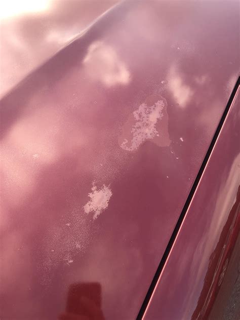 Don't touch them if paint blisters ever occur. Paint starting to bubble — what to do : ToyotaTundra