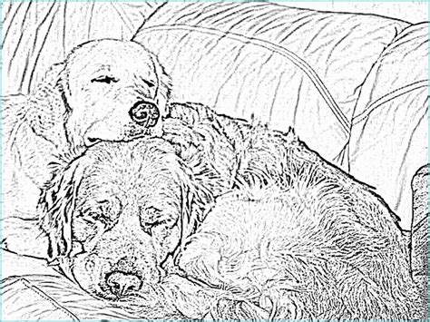 Coloriage chien qui dort à imprimer, a imprimer chiens 6 coloriages de chiens coloriages Dessin De Bb Qui Dort A Imprimer Coloriage Chien Qui Dort ...